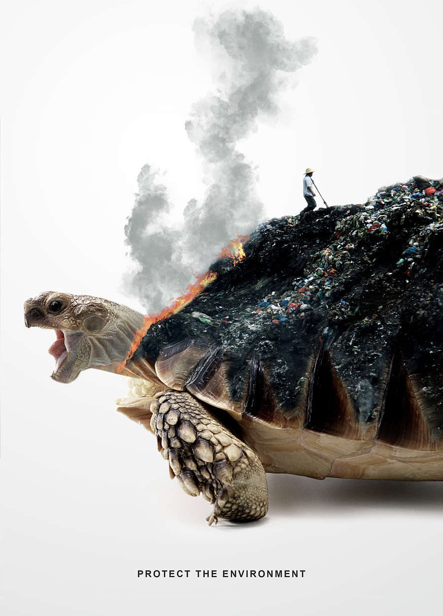 用藝術(shù)點亮動物保護(hù) 胡子韓原創(chuàng)文藝海報設(shè)計